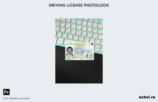 цифровая загрузка США Колорадо DL шаблон Photolook FRONT